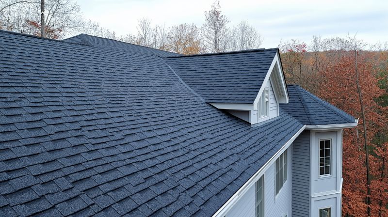 Roofing Material Showcase
